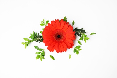 Photo of Flat lay composition with beautiful bright gerbera flower on white background