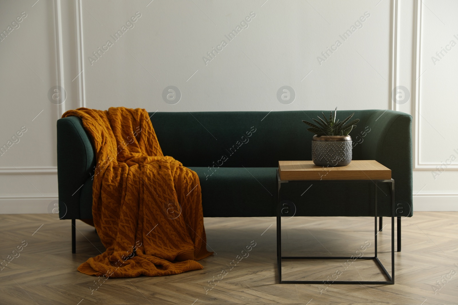 Photo of Stylish living room interior with comfortable green sofa and beautiful houseplant