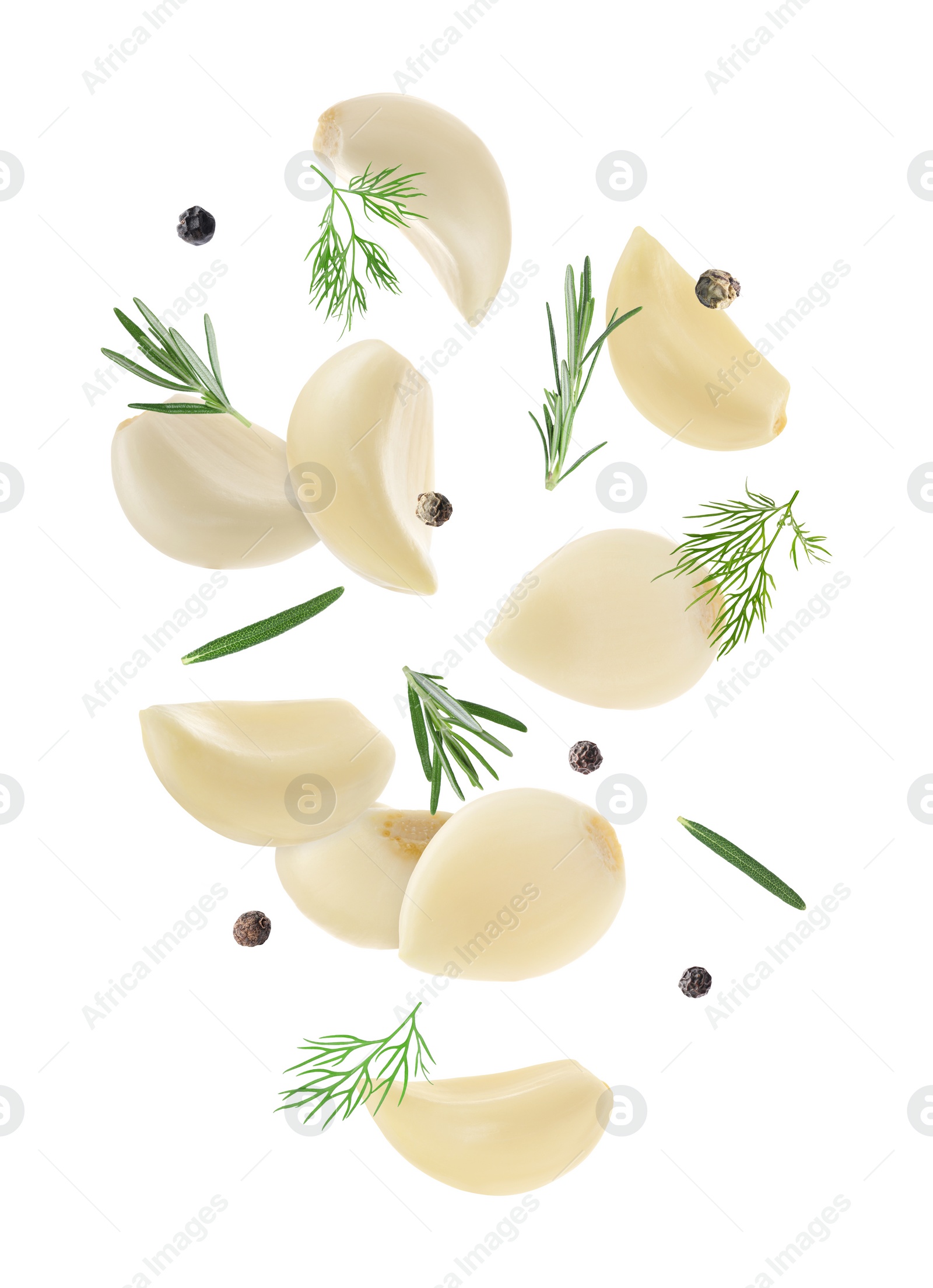 Image of Fresh garlic cloves, peppercorns, dill and rosemary falling on white background