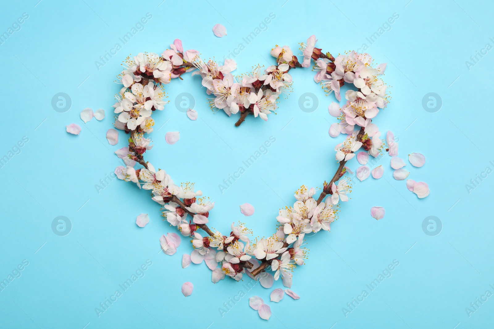 Photo of Heart made of beautiful fresh flowers on color background, top view with space for text. Spring blossom