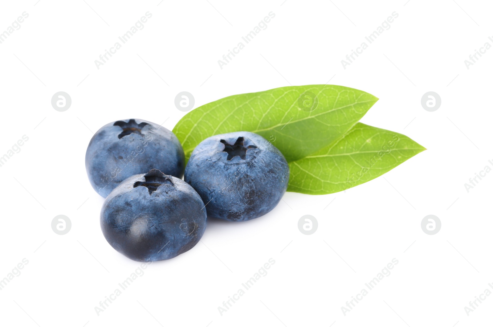 Photo of Tasty ripe fresh blueberries and green leaves on white background