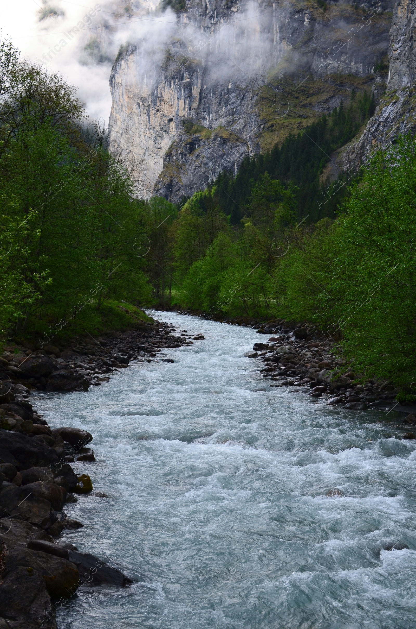 Photo of Picturesque view of beautiful stream flowing in mountains