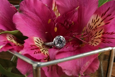 Photo of Beautiful luxury engagement ring with gemstone on flower, closeup