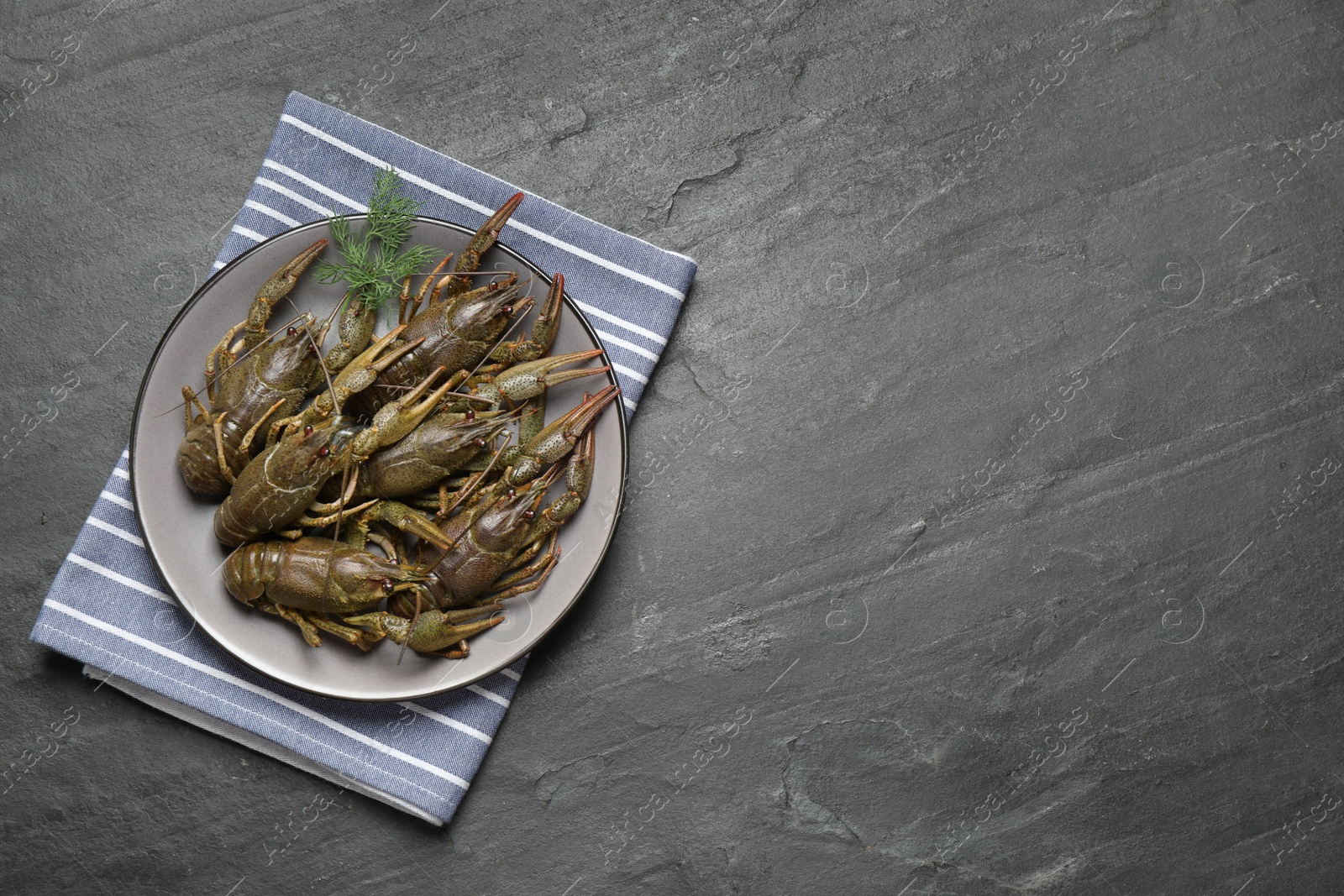 Photo of Fresh raw crayfishes with dill on black table, top view. Space for text