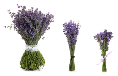 Set of lavender flowers on white background