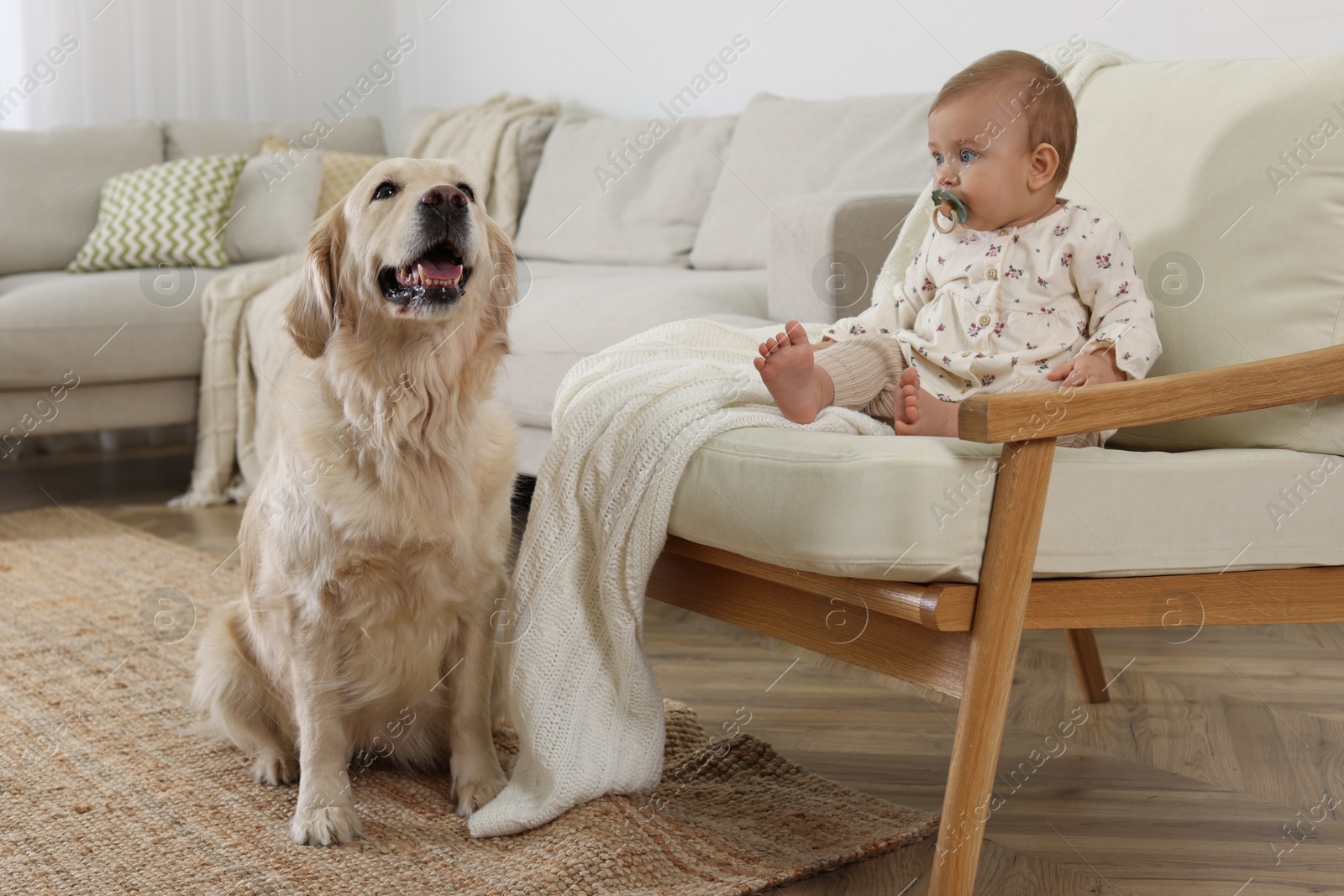Photo of Cute little baby with adorable dog at home