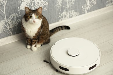 Cute cat and robot vacuum cleaner on floor at home. Lovely pet