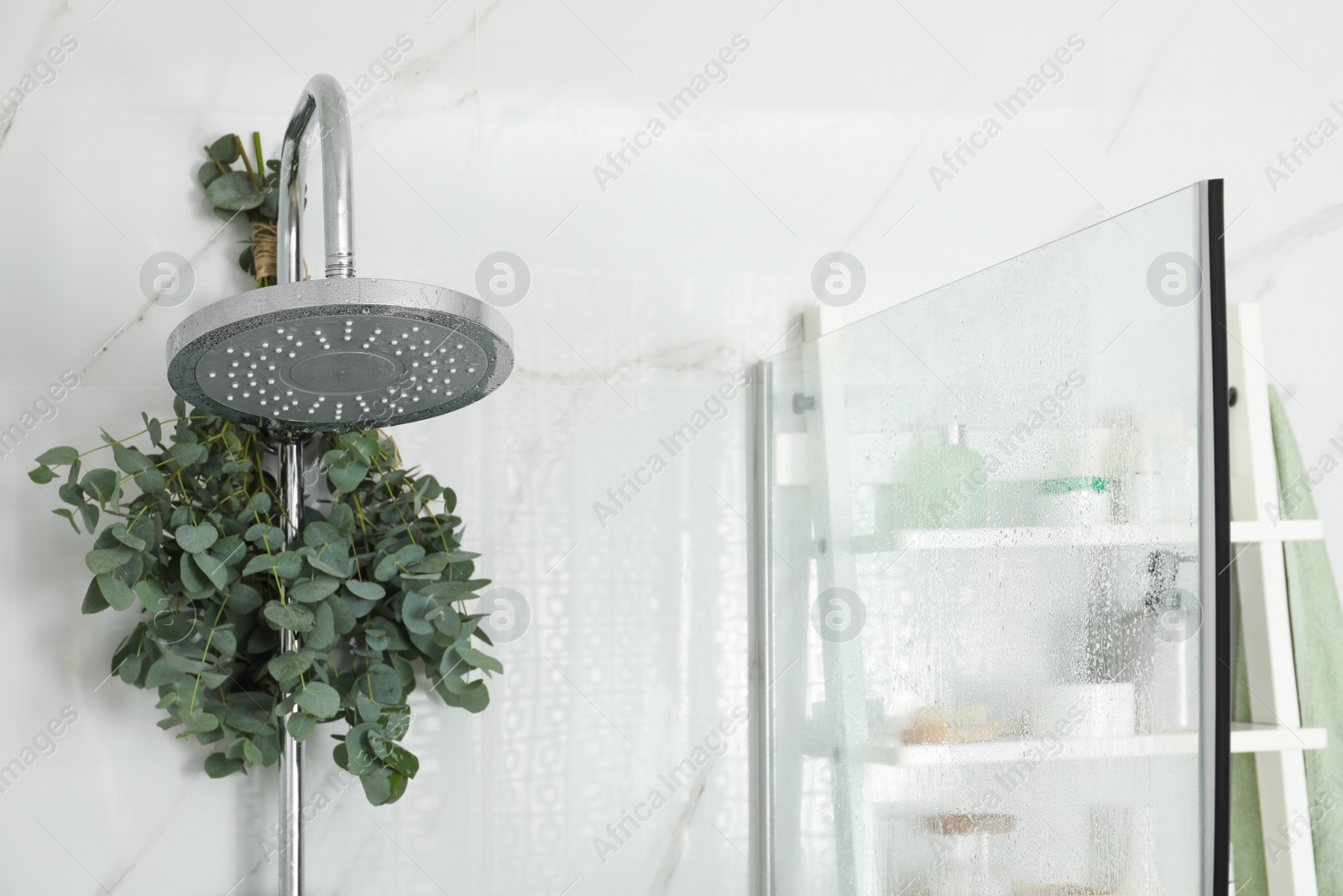 Photo of Branches with green eucalyptus leaves in shower