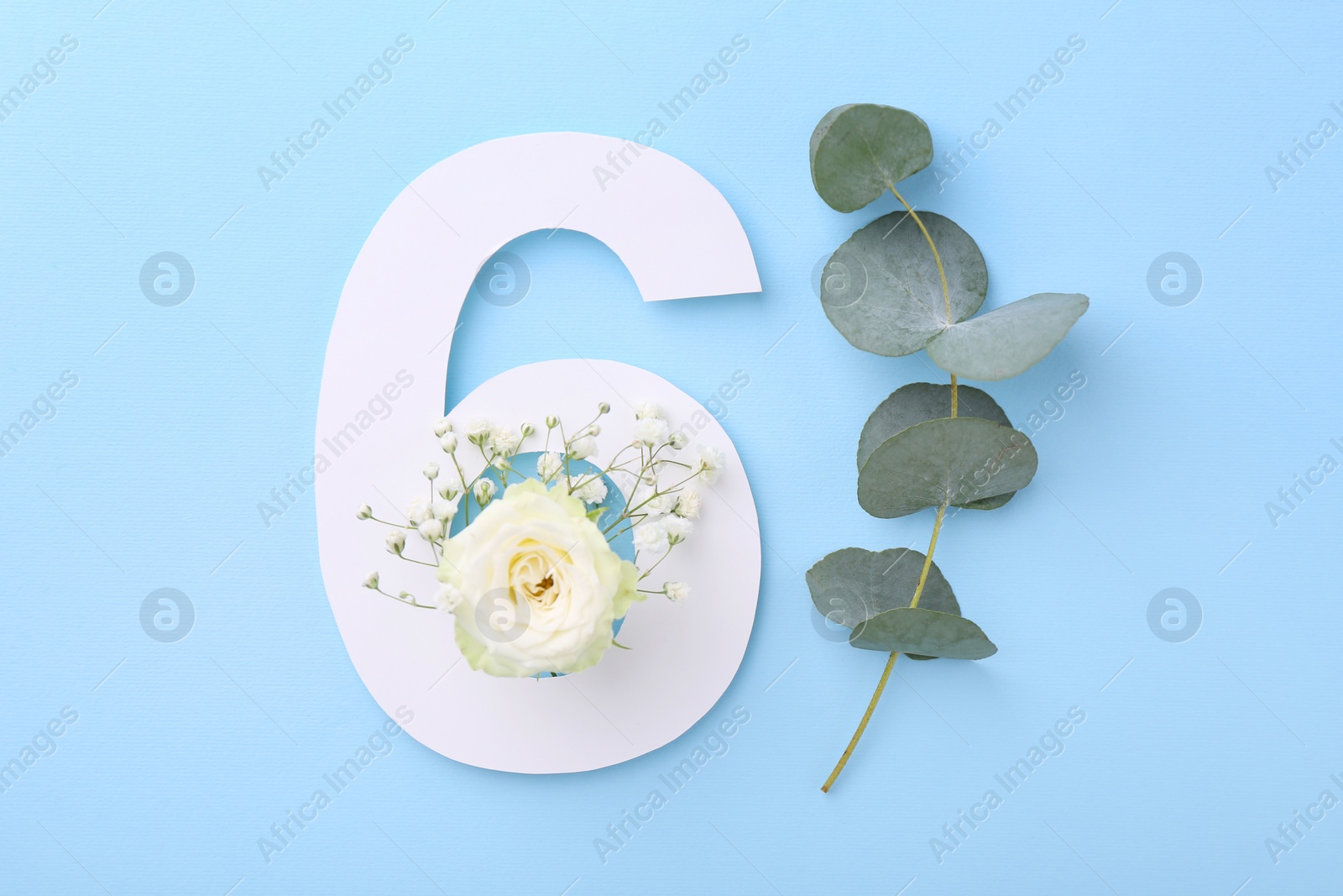 Photo of Paper number 6, beautiful flowers and eucalyptus branch on light blue background, top view