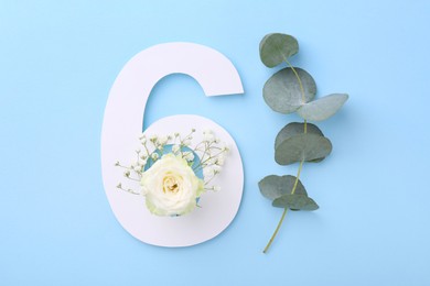 Paper number 6, beautiful flowers and eucalyptus branch on light blue background, top view