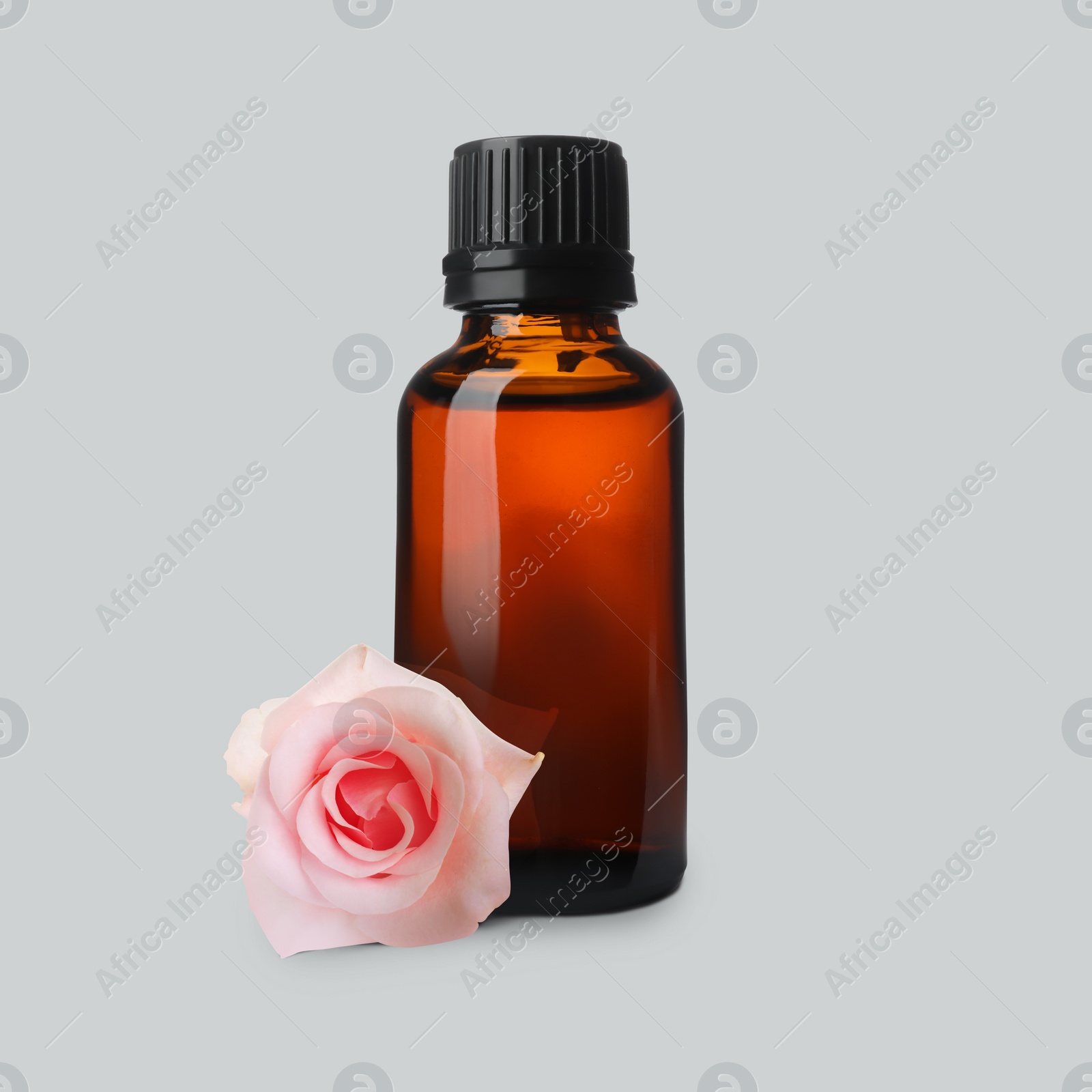 Image of Bottle of rose essential oil and flower on light grey background