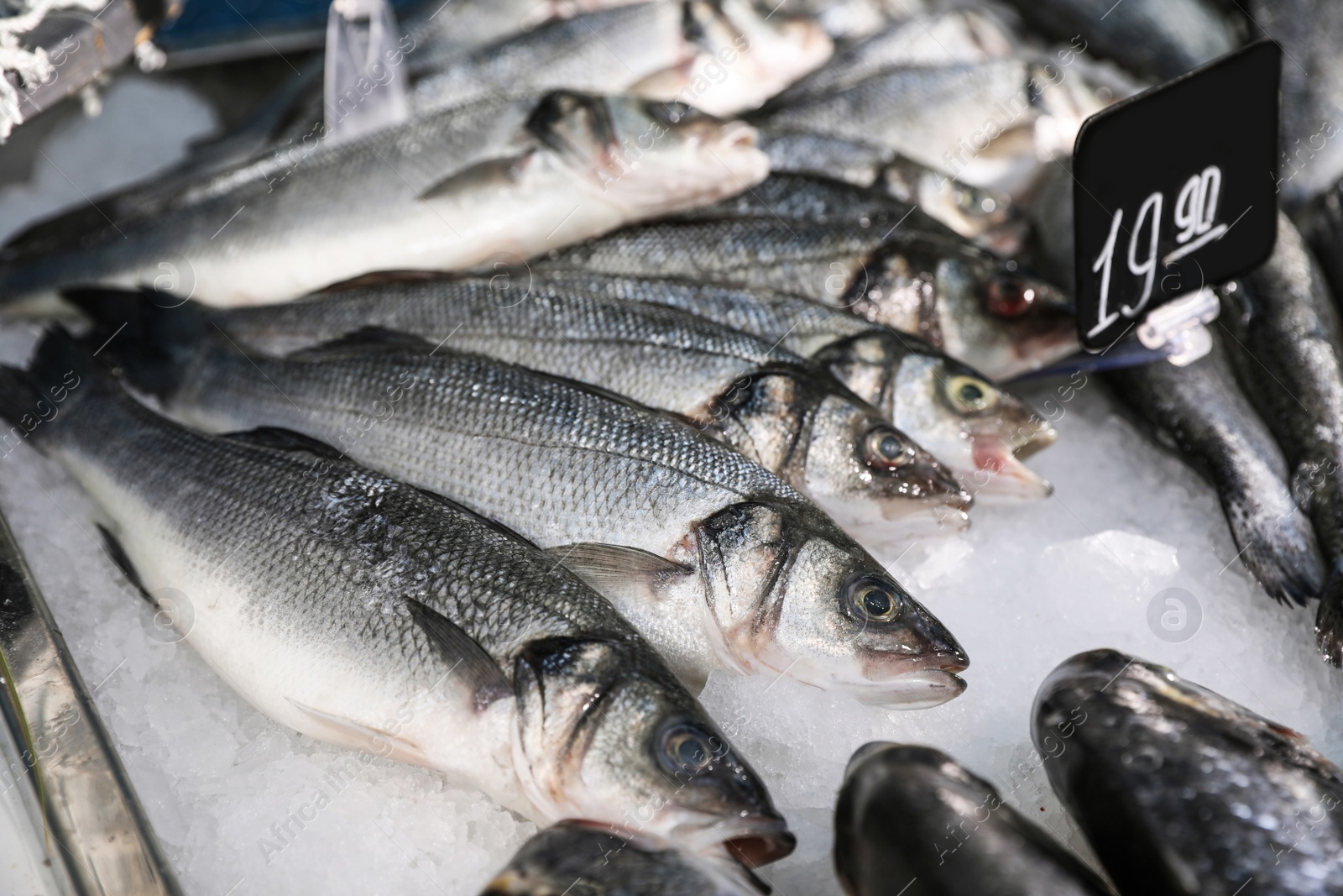 Photo of Different types of fresh fish on ice in supermarket, closeup