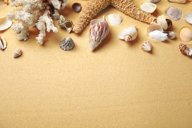 Different beautiful sea shells on sand. Space for text