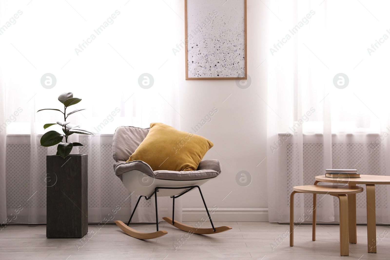 Photo of Large pot with ficus near window in room. Element of interior design