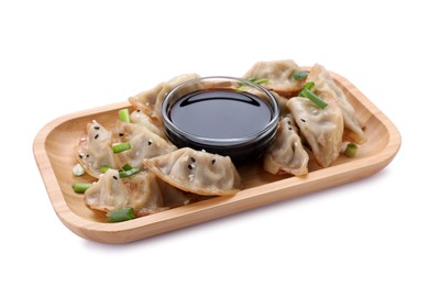 Delicious gyoza (asian dumplings) with green onions and soy sauce isolated on white