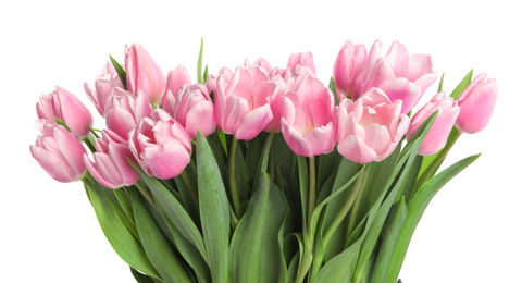 Photo of Beautiful pink spring tulips on white background