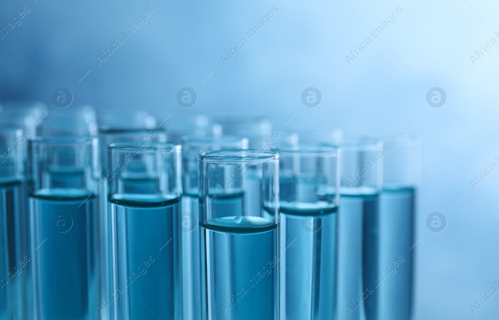 Photo of Many test tubes with liquid samples on blue background, closeup