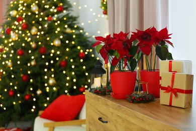 Photo of Potted poinsettias and festive decor on dresser in room, space for text. Christmas traditional flower