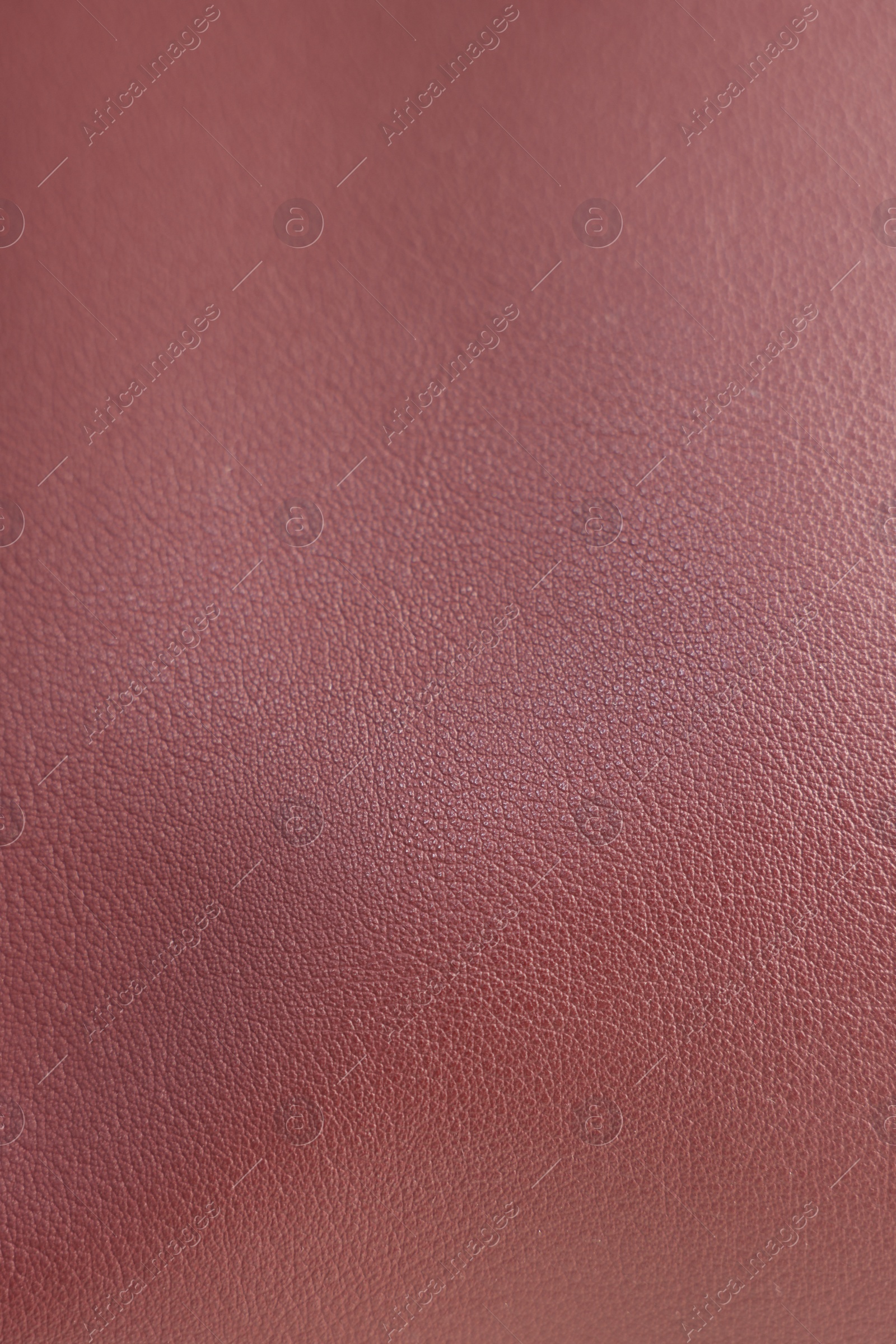 Photo of Texture of leather as background, closeup view