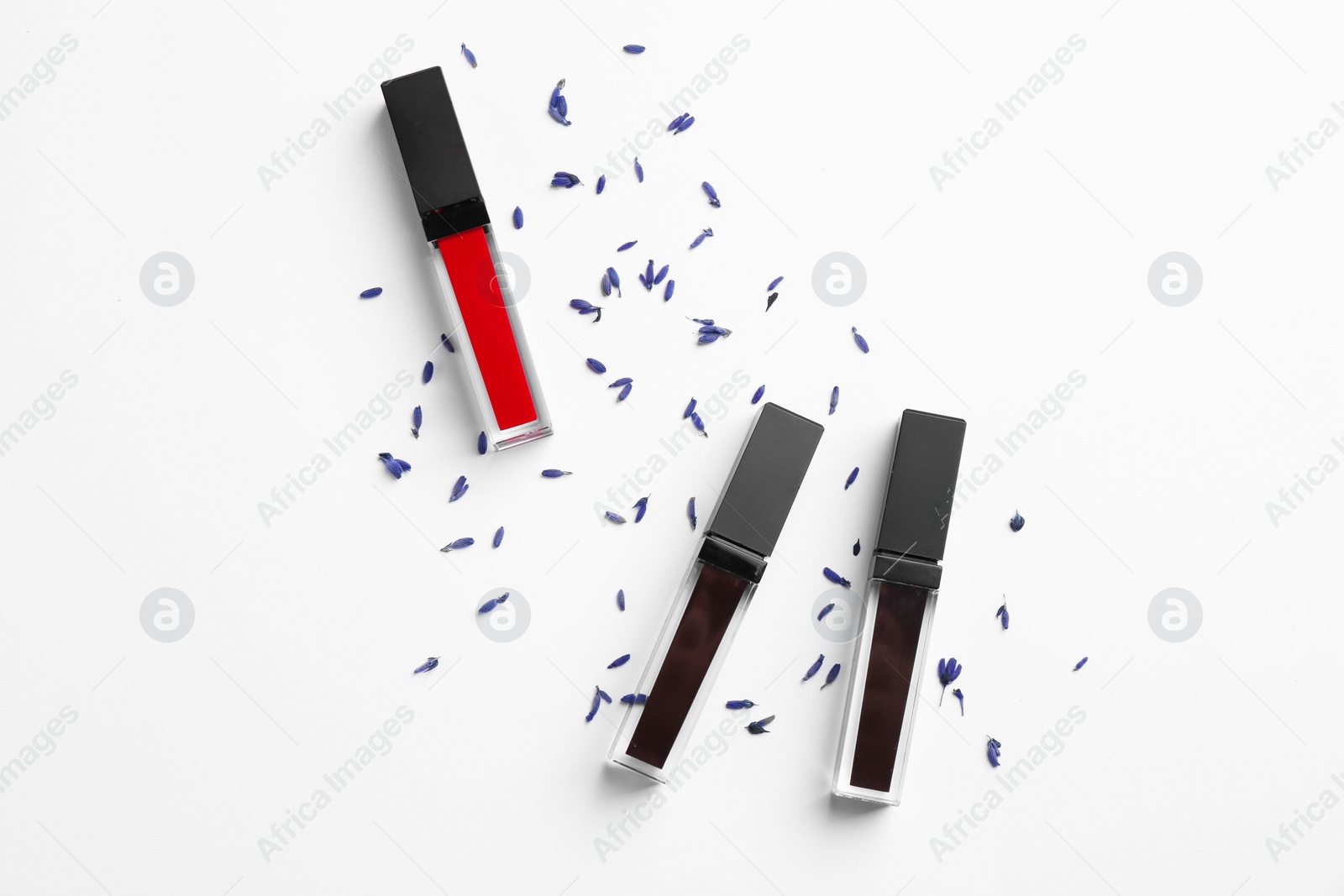 Photo of Different lip glosses and flowers on white background, flat lay