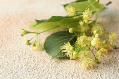 Photo of Fresh linden leaves and flowers on light table, closeup
