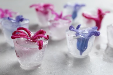 Ice cubes with flowers on light background, closeup