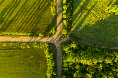 Image of Beautiful aerial view of green fields and crossroad on sunny day