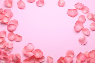 Photo of Beautiful rose flower petals on pink background, flat lay. Space for text