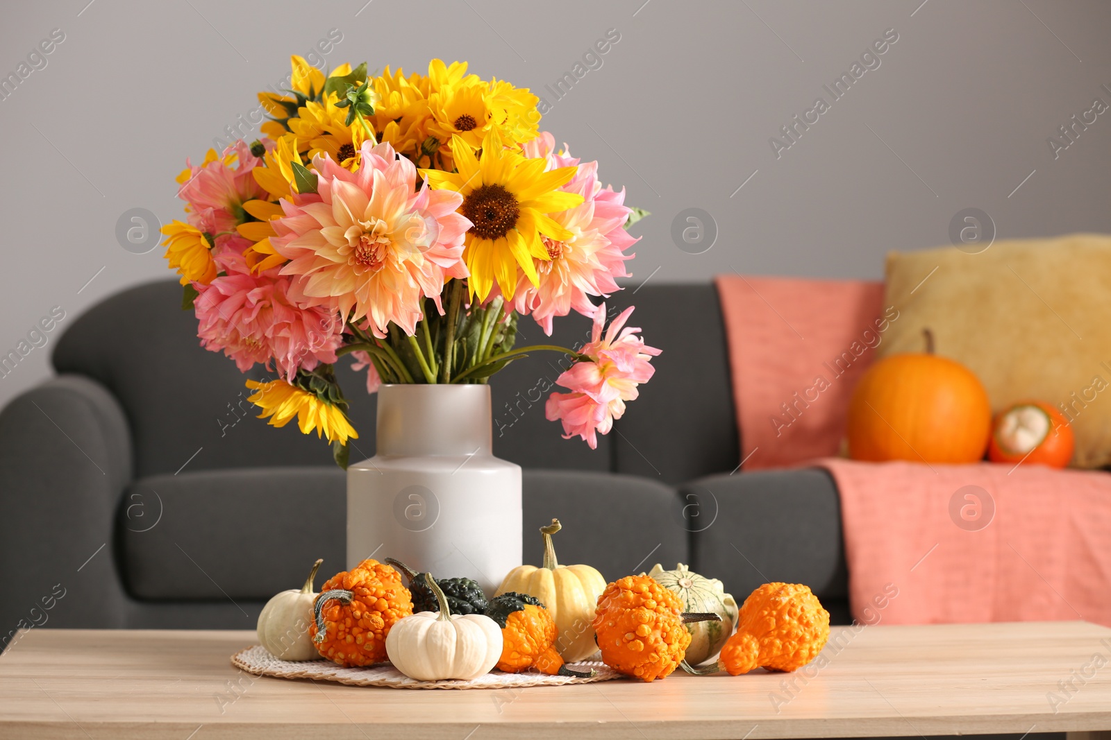 Photo of Autumn mood. Beautiful bouquet with bright flowers and small pumpkins on wooden table in room, space for text