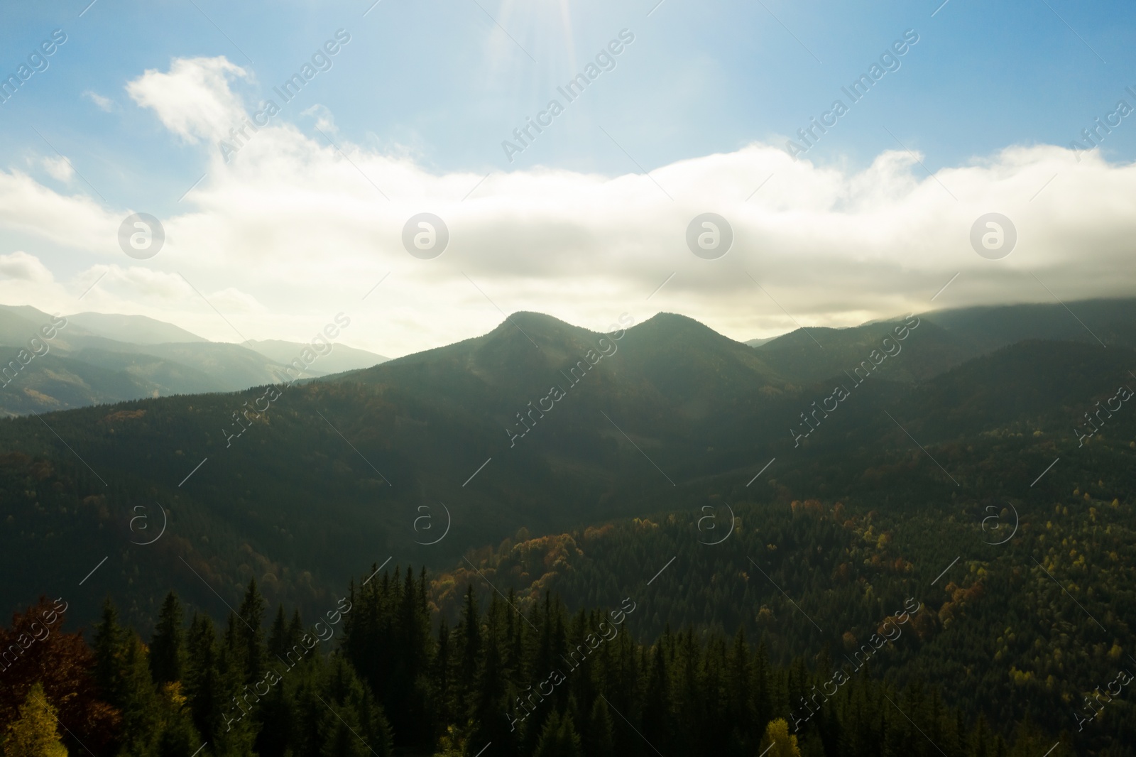 Image of Aerial view of beautiful mountain forest on autumn day