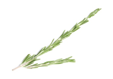 Rosemary twigs on white background, top view. Aromatic herbs