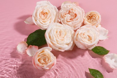 Beautiful roses and leaves in water on pink background, top view