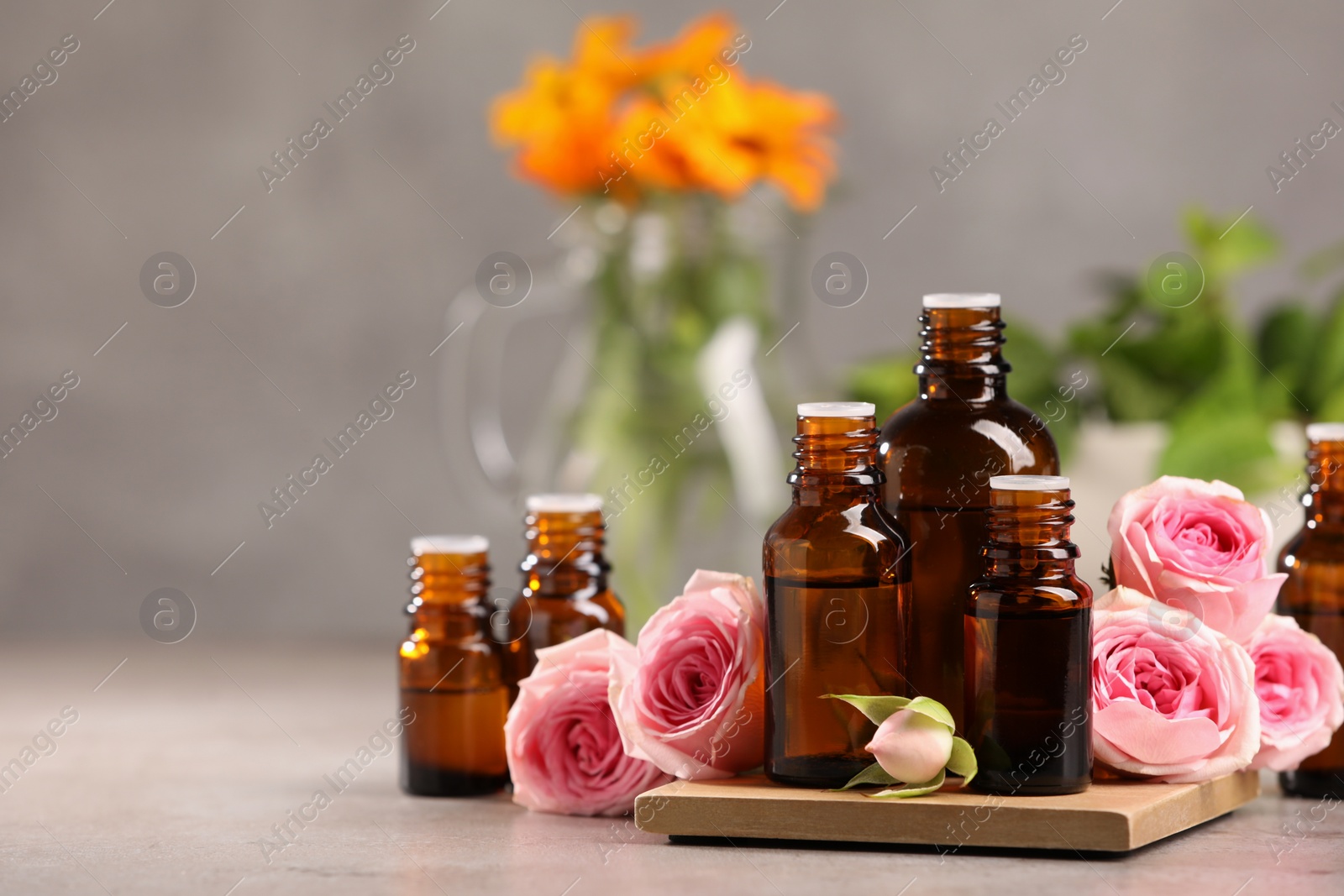 Photo of Bottles with essential oil and roses on light table. Space for text