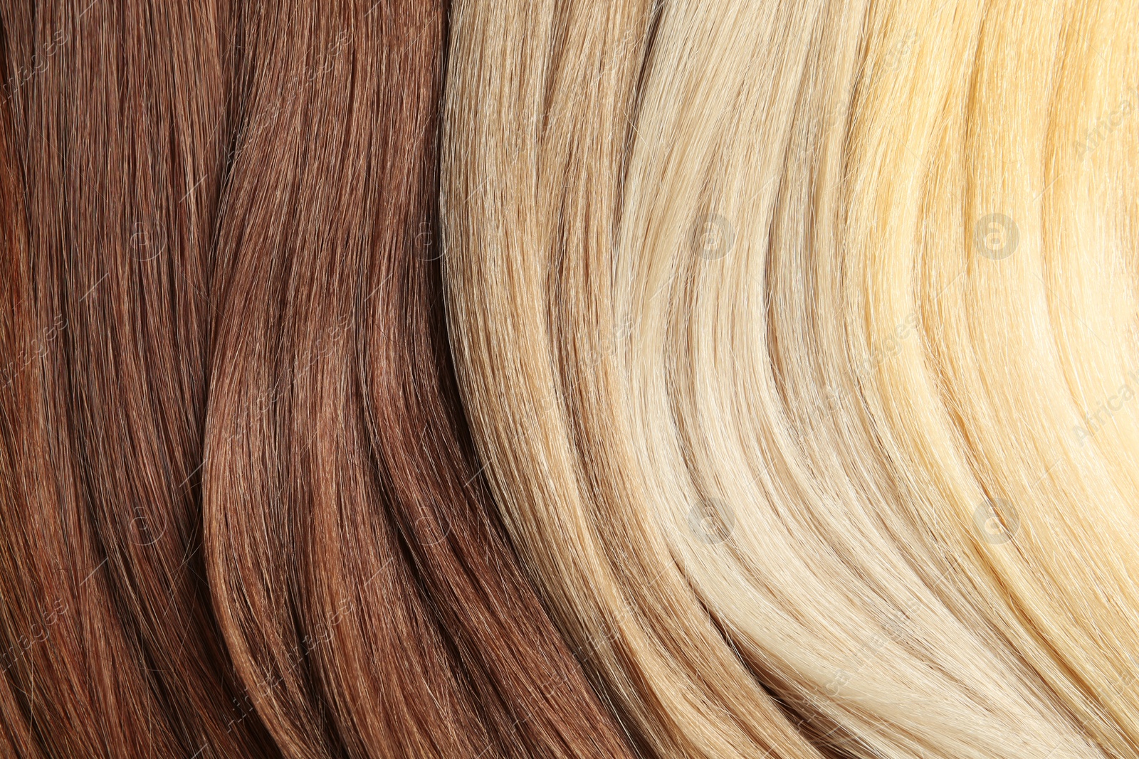 Photo of Strands of different color hair as background, closeup