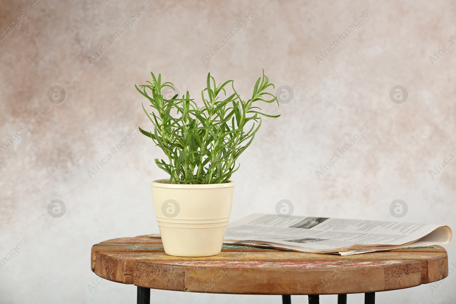 Photo of Pot with fresh rosemary on table against color background