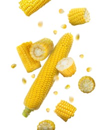 Image of Tasty ripe corn cobs falling on white background