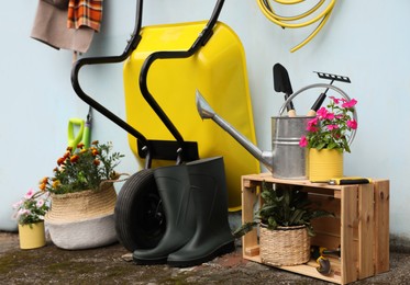 Beautiful plants, gardening tools and accessories near shed outdoors