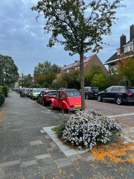 Photo of Street with parked cars and beautiful trees in residential area