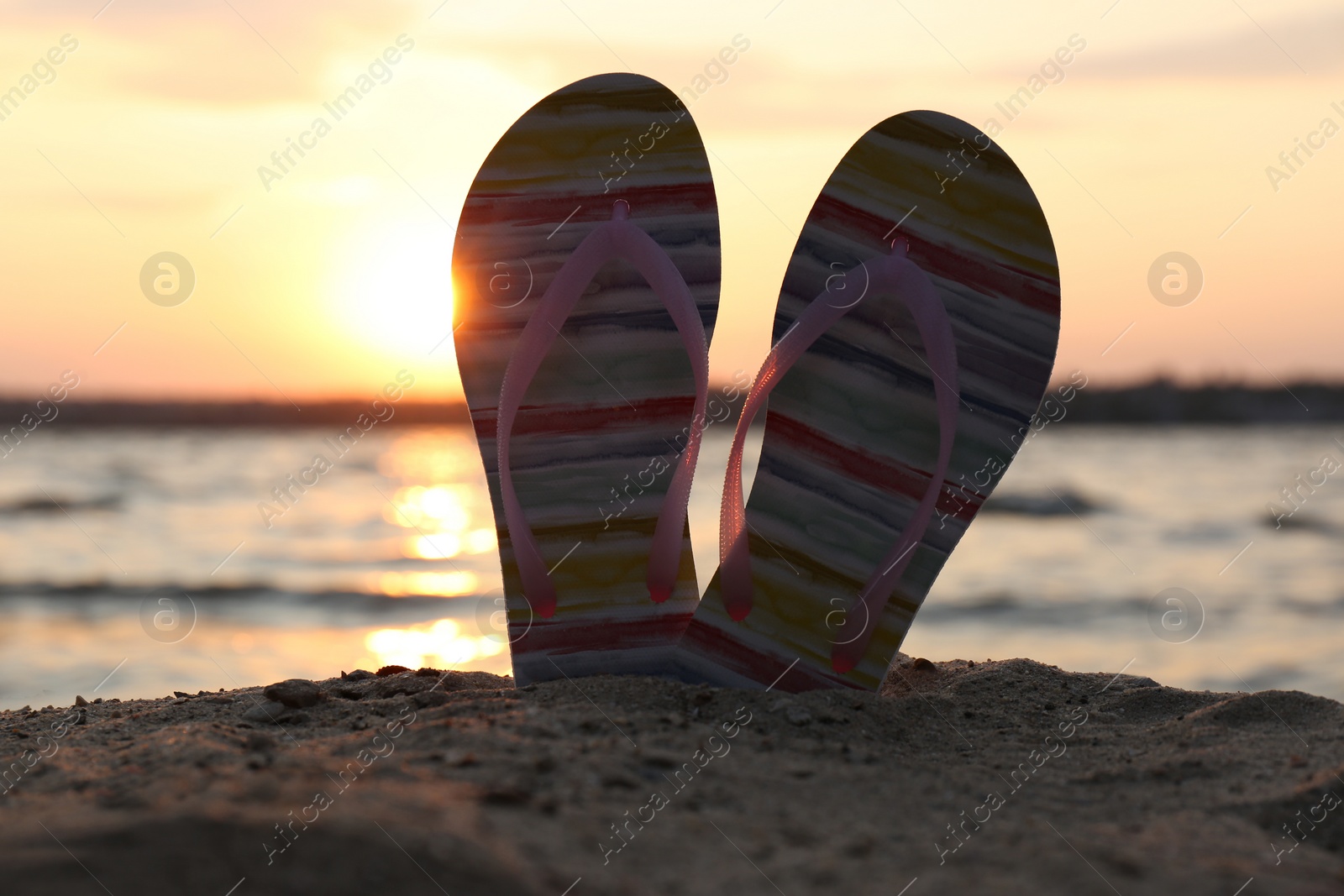 Photo of Stylish flip flops on sand near sea. Beach accessories