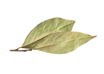 Photo of Two aromatic bay leaves on white background