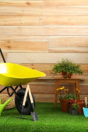 Wheelbarrow with gardening tools and flowers near wooden wall. Space for text