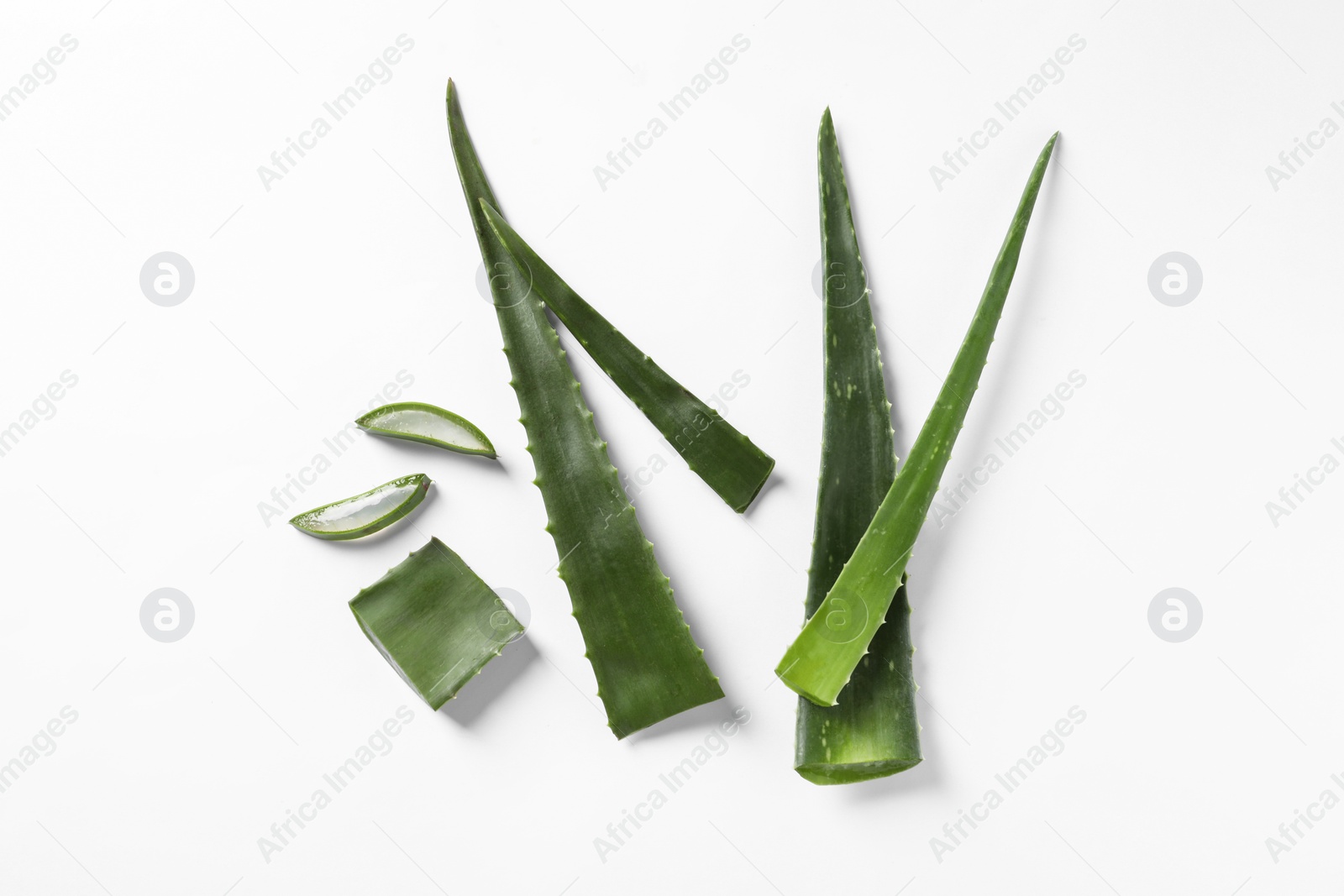 Photo of Cut aloe vera plant on white background, flat lay