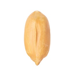 Photo of One fresh peeled peanut isolated on white