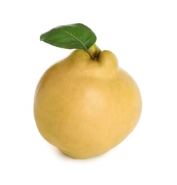 Photo of Fresh ripe quince with leaf on white background