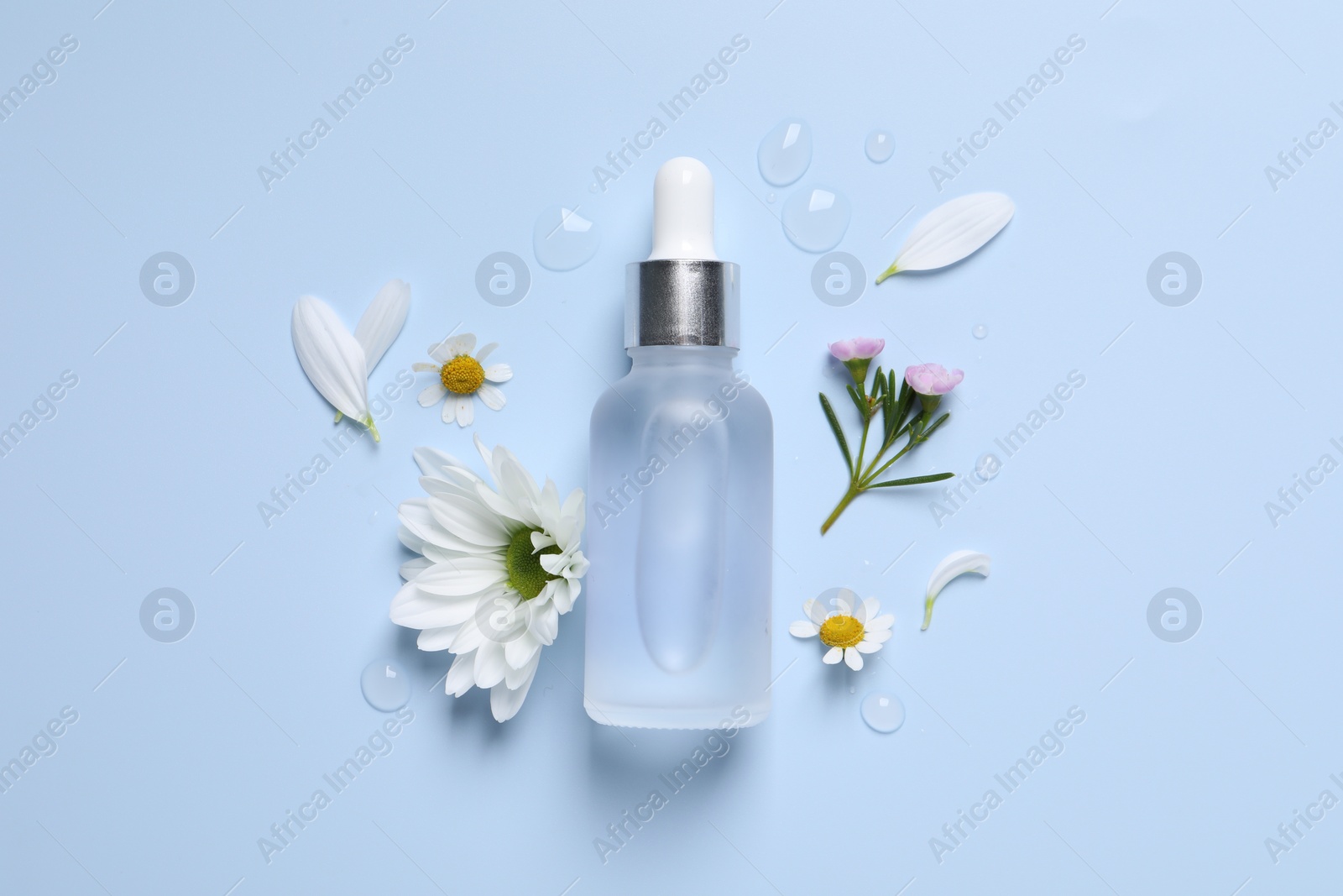 Photo of Bottle of cosmetic serum, flowers and petals on light blue background, flat lay