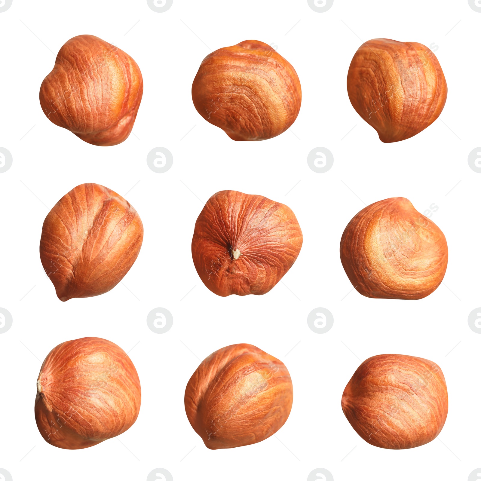 Image of Set with tasty hazelnuts on white background 