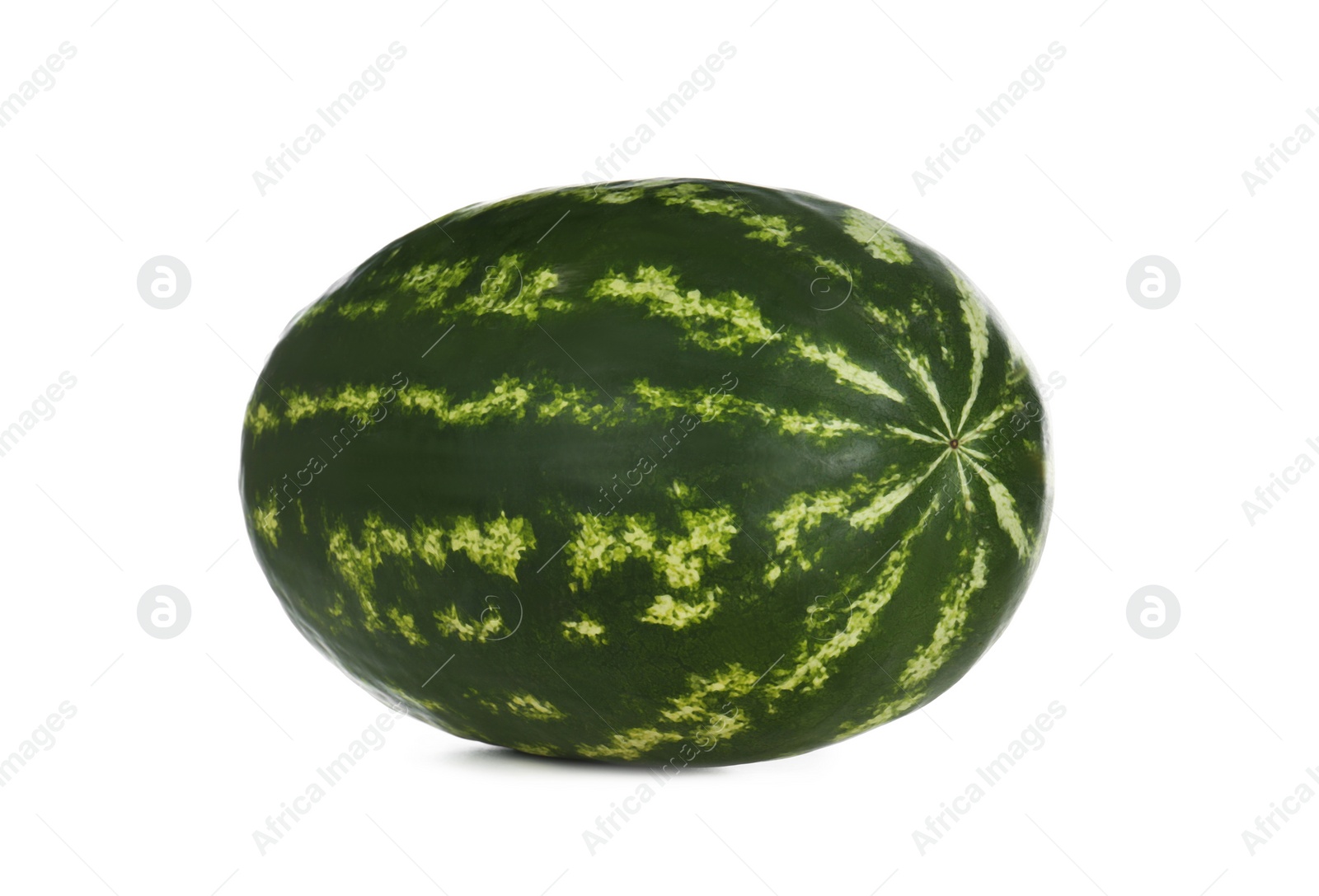 Photo of Delicious ripe long watermelon isolated on white
