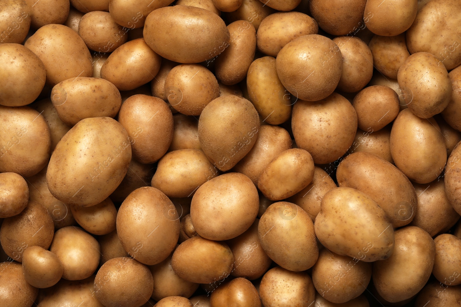 Photo of Raw fresh organic potatoes as background, top view