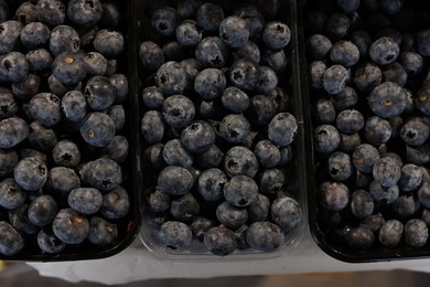 Many fresh blueberries on counter at market, top view