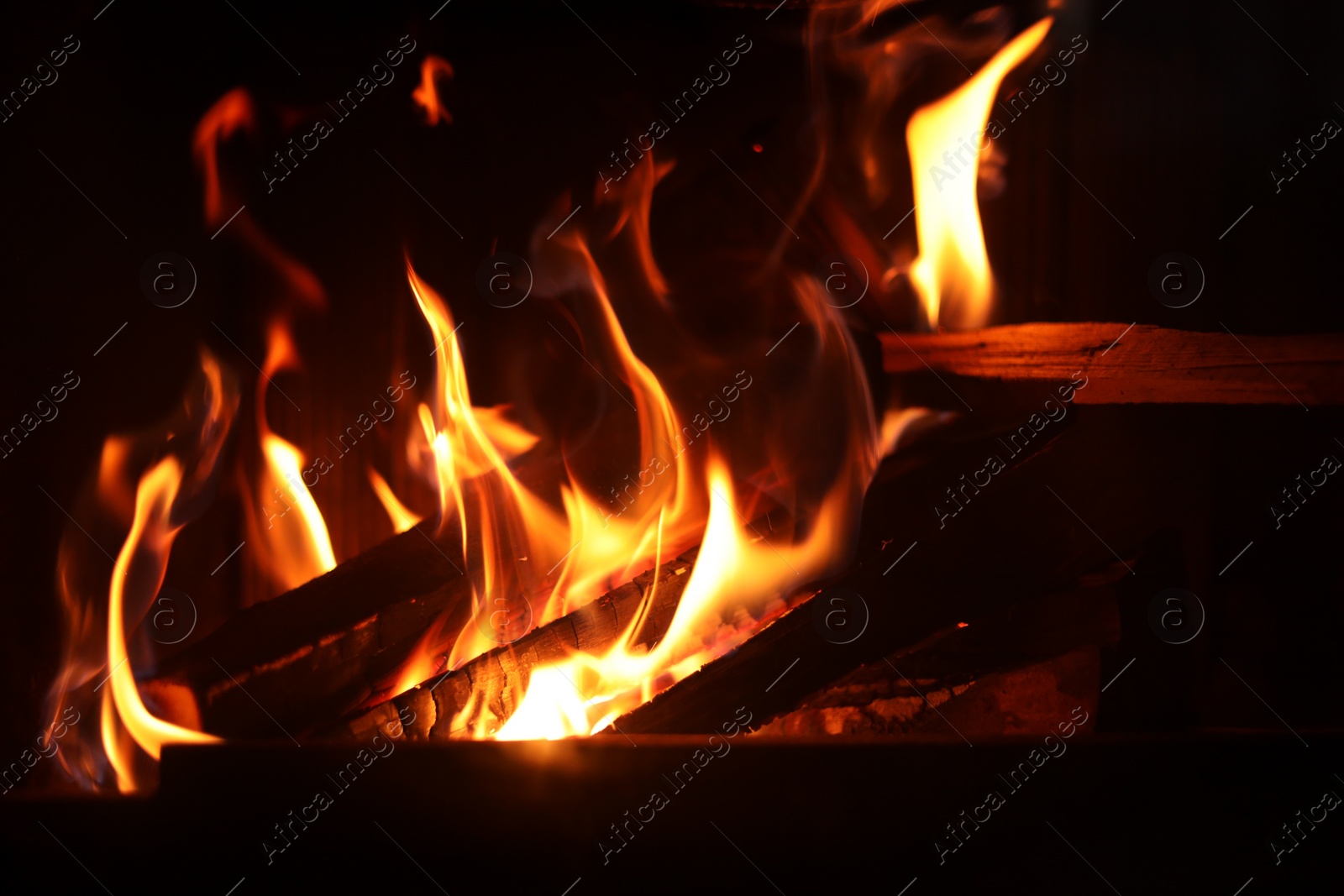 Photo of Bonfire with burning firewood on dark background